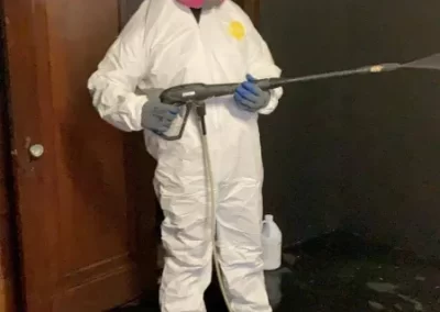 Affordable Mold Removal Services