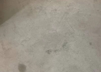 Detailed Water Damage Remediation