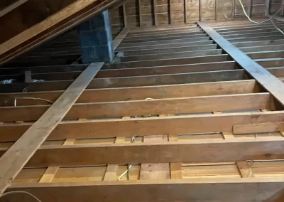 Mold Removal Services (1)