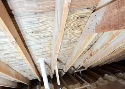Mold Removal Services (3)