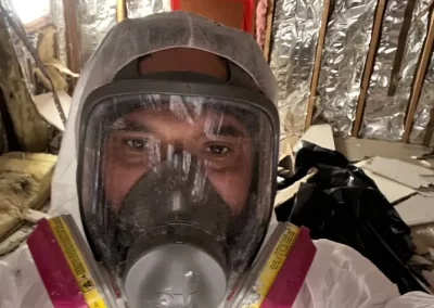 Professional Mold Removal Services