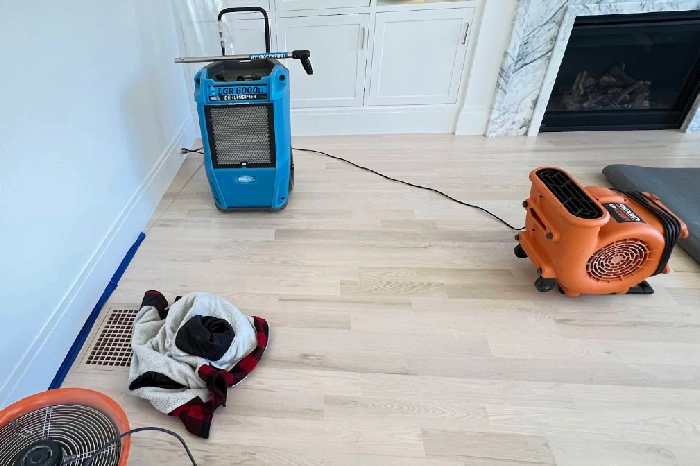 Water Damage Remediation Water Damage Remediation