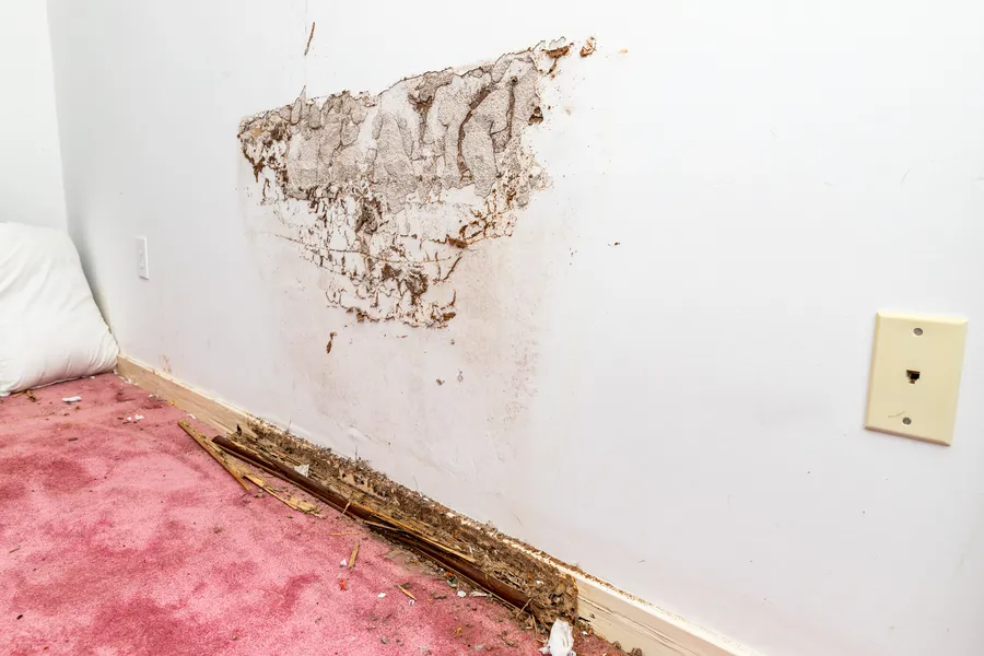 How Flood Damage Restoration Can Prevent Long-term Issues in Revere, MA How Flood Damage Restoration Can Prevent Long-term Issues in Revere, MA
