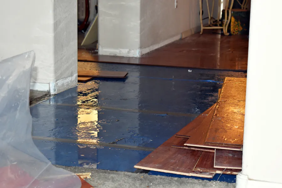 How To Minimize The Risk Of Mold After Water Damage in Revere, MA How To Minimize The Risk Of Mold After Water Damage in Revere, MA