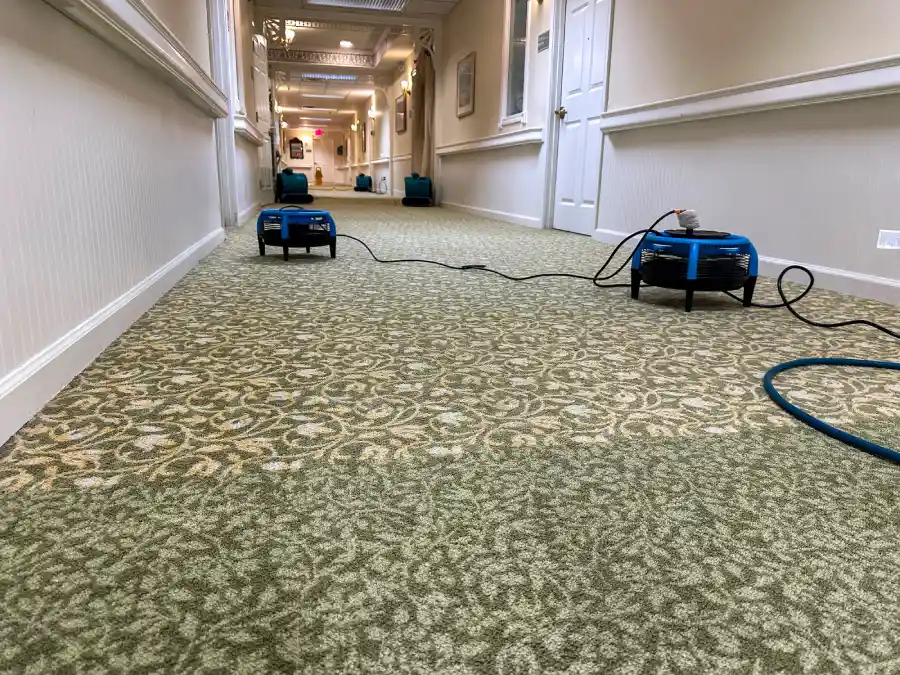 Reliable Water Damage Mitigation Revere, MA Reliable Water Damage Mitigation Revere, MA