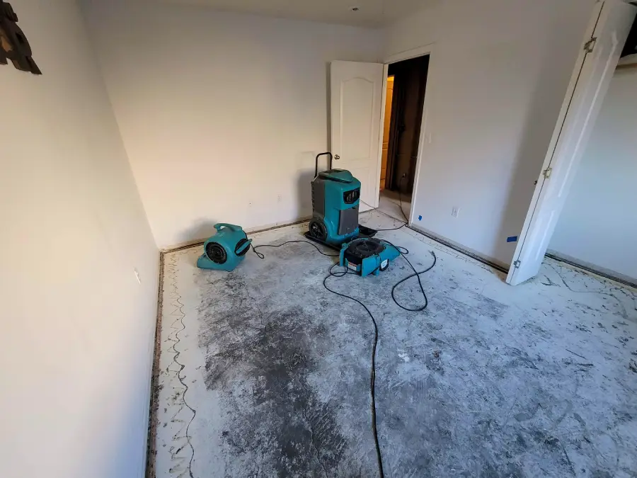 Top-rated Water Damage Remediation Revere, MA Top-rated Water Damage Remediation Revere, MA
